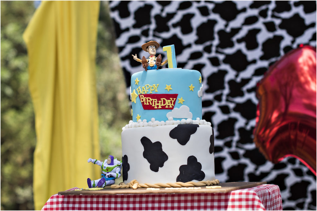 Camden Event Photography, Camden Family Photography, Camden Children Photography, Angie Duncan Photography, www.angieduncan.com.au